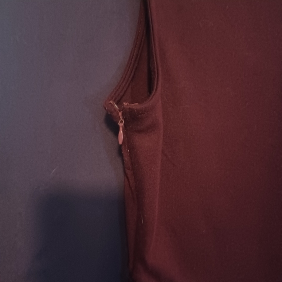 Modcloth Fervour swing dress with peter pan collar - Picture 4 of 4